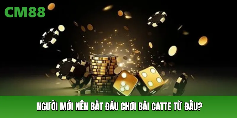 Người mới nên bắt đầu chơi bài Catte từ đâu?