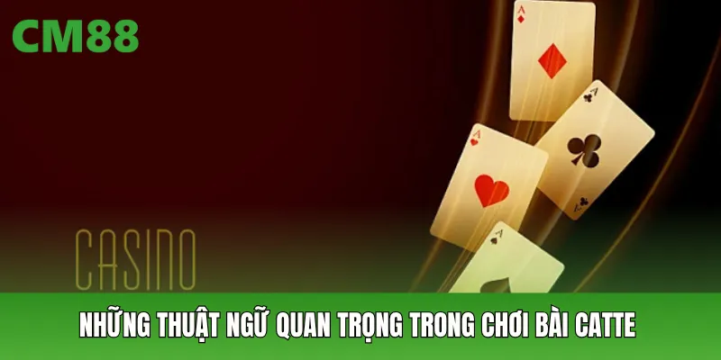 Những thuật ngữ quan trọng trong chơi bài Catte